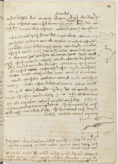 Vogelvluchtcode, c. 1505-06, blad 14 recto door Leonardo da Vinci